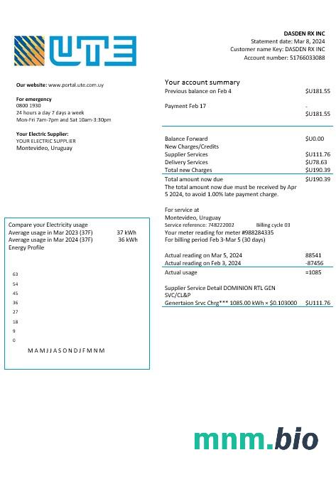 Urugwaj Ute Company electricity rachunek za usługi komunalne szablon w formatach Word i PDF